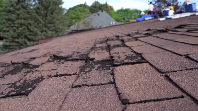 Best Steel Roofing  in Montclair, CA